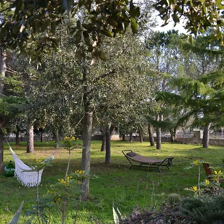 Apartment Alba - Villaggio Di Mary